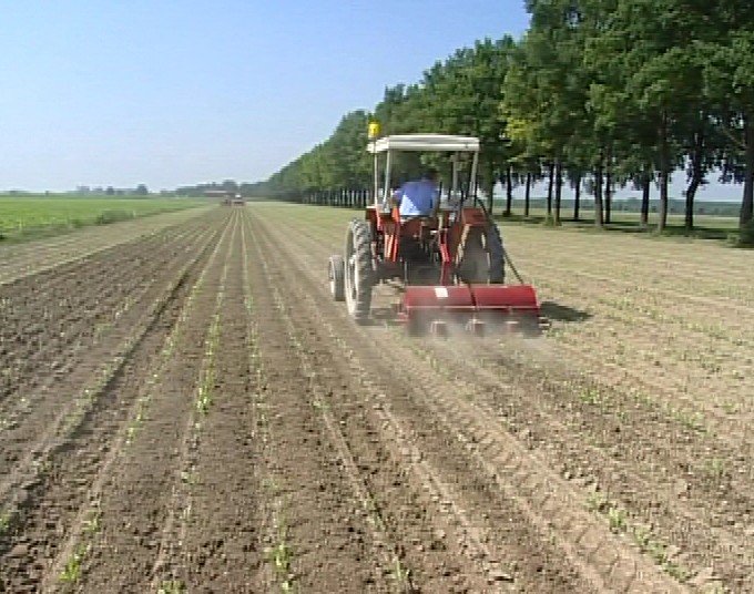 ALL’AGRICOLTURA SERVONO MACCHINE E COMPONENTISTICA