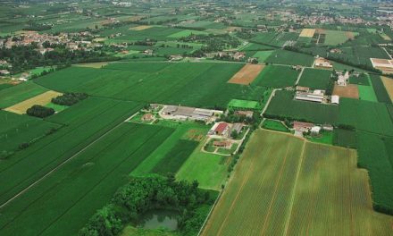 L’AGRICOLTURA ITALIANA È IN AFFANNO PER IL FUTURO