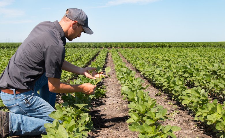 IL BILANCIO 2020 PREVEDE PIÙ FONDI ALL’AGRICOLTURA