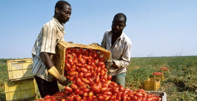 L’ALIMENTARE ITALIANO È SOTTO ACCUSA PER INCIVILTÀ