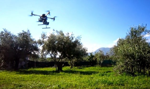 È DIFFICILE FARE UNA START UP IN ITALIA: EPPURE NELL’AGROALIMENTARE …