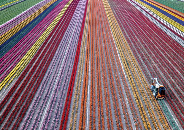 A TORINO L’ERASMUS PER I NUOVI AGRICOLTORI EUROPEI